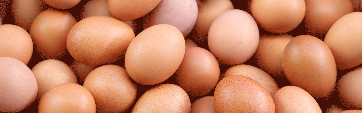 Cracking the Case on High Egg Prices